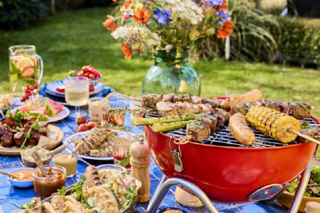 webshop promotie bbq